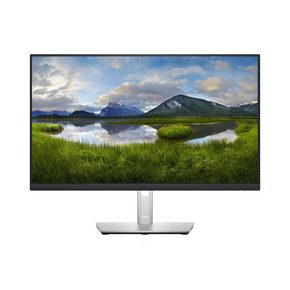 Dell P2422H monitor