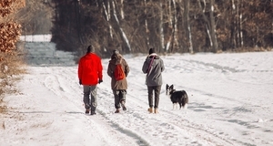 Nauči kako sigurno šetati psa zimi