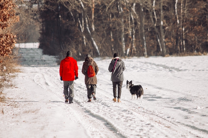 šetnja psa zimi