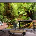 Samoljepljiva foto tapeta - Forest Brook 441x315