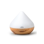 Anjou AJ-AD001LB
