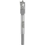 Bosch Accessories 2608596333 drvo-svrdlo za glodanje 45 mm Ukupna dužina 120 mm šesterokutna osovina 1 St.