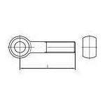 TOOLCRAFT 107163 okasti vijak M10 130 mm DIN 444 čelik 10 St.