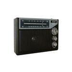 Dartel radio RD-150