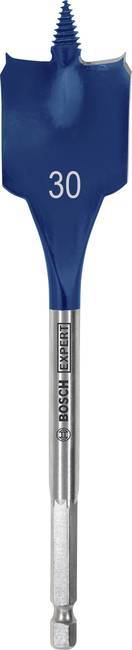 Bosch Accessories 2608900325 drvo-svrdlo za glodanje 30 mm Ukupna dužina 152 mm šesterokutna osovina 1 St.