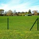vidaXL Euro ograda 10 x 1,5 m čelična zelena
