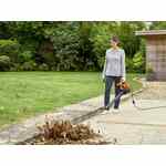 Black & Decker BEBLV290