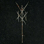 Wiegedood - There’s Always Blood At The End Of The Road (CD)