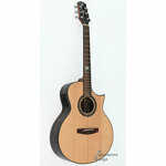 Aosen gitara GA730C EQ101
