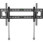Stell SLIM Nosač za TV 43"-100" SHO 3630