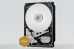 Western Digital Gold WD2005FBYZ HDD