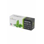 Veritable Lingot® Mint