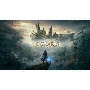 Hogwarts Legacy Deluxe Edition PS4 Preorder