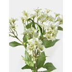 Sinsay - Ukrasna umjetna biljka 3 pack krem SS 2025 343FQ-01X