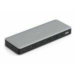 DIGITUS Docking USB-C->HDMI,DP,USBA,USBC,RJ45,DC,Audio silbe