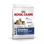 ROYAL CANIN Maxi Starter Mother &amp; Babydog 15kg