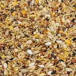 Happy Food hrana za divlje ptice (grdelini i sl.) 20kg