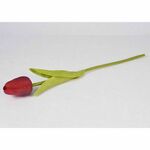 TULIPAN 32 CM CIKLAMA #