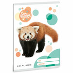 Ars Una: Slatka crvena panda 1. razred bilježnica s crtama A/5 14-32