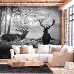 Samoljepljiva foto tapeta - Deers in the Morning 392x280