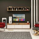 TV jedinica, Liçi