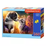 Castorland puzzle 260 komada novo prijateljstvo