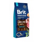 Brit hrana za pse Premium by Nature Sensitive, janjetina, 15 kg