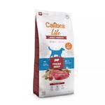 Calibra Life Adult Fresh Beef - Medium - 12 kg