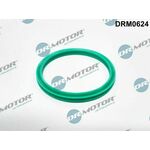 Brtveni prsten, crijevo zraka punjenja Dr.Motor Automotive DRM0624