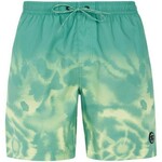 Men's beach shorts Protest PRTAGOR zelena