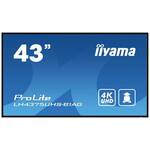 IIYAMA LH4375UHS-B1AG