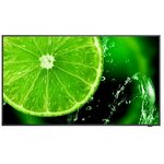 NEC signage displej MultiSync E498 49" (125 cm)