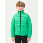 4F Prijelazna jakna 4FJWSS24TDJAM344 Zelena Regular Fit