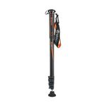 Vanguard monopod Espod AM-264
