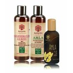 Paket Amla za sjaj i volumen