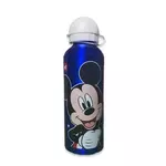 Mickey & Donald Duck boca za vodu, 500 ml
