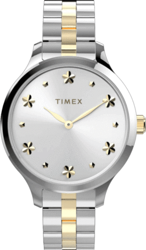 Sat Timex Peyton TW2V23500 Silver