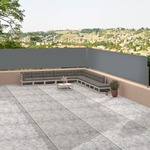 vidaXL Uvlačiva bočna tenda antracit 117 x 1200 cm