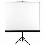 Avtek Tripod Standart 175 projection screen 1:1
