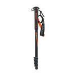 Vanguard monopod Espod AM-234