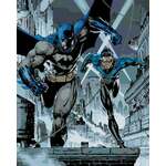 Zuty Slikanje po brojevima Batman i Nightwing
