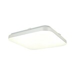 Stropna svjetiljka AJAX 17W LED