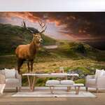 Samoljepljiva foto tapeta - Deer on Hill 245x175