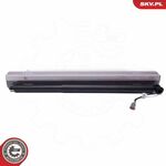 Elektromotor, vrata prtljažnika ESEN SKV 52SKV970