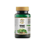 Green coffee (zelena kava) & L-carnitine 500mg x 60 kapsula