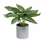 Umjetna biljka (visina 21 cm) Syngonium – Ixia