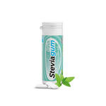 Žvakaće gume SteviaGum Fresh, okus spearmint 30g