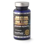 Goldfield MSM Plus 60 kaps unflavored
