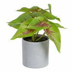 Umjetna biljka (visina 20 cm) Syngonium – Ixia