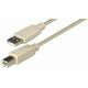 Transmedia USB 2.0 AB, Beige, 1,8m TRN-C142-HL
